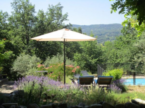 Serena Villa in Saignon with Private Swimming Pool